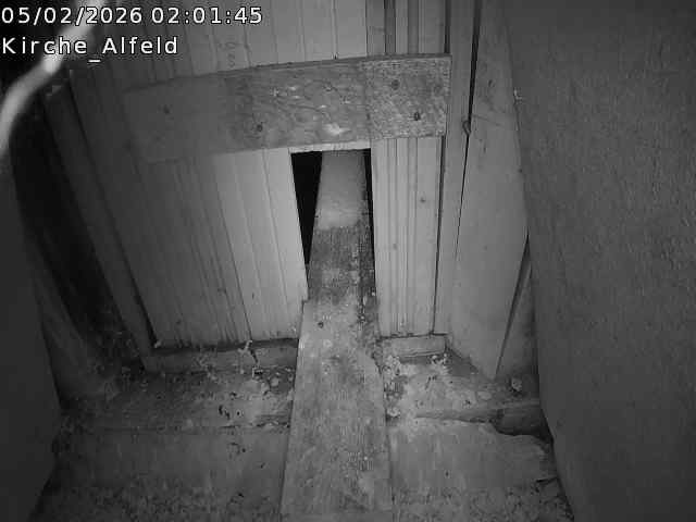 Live-Bild Turmfalke Ansicht 2